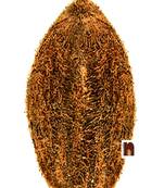 Laghu Dariyai Nariyal For Puja (8 cm) (1 Pc)