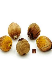 Numeroastro Laghu Nariyal For Puja (Pack Of 5)