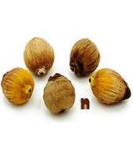 Numeroastro Laghu Nariyal For Puja (Pack Of 5)