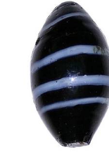 Laxmi Narayan Shaligram Shivling In Glass (Small)  (3 Cms) (1 Pc)