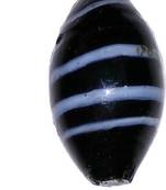 Laxmi Narayan Shaligram Shivling In Glass (Small)  (3 Cms) (1 Pc)