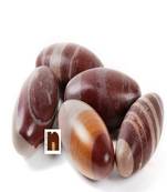 Narmada | Narmadeshwar Shivling For Puja (4 Cms Approx)(Small) (Pack of 5)