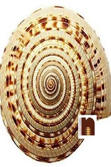 Shri Vishnu Sudrashan Chakra For Puja (4 To 5 Cms) (1 Pc)