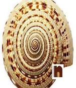 Shri Vishnu Sudrashan Chakra For Puja (4 To 5 Cms) (1 Pc)