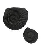 Shaligram Stone | Shila (Laxmi Narayan Ji) (AAA Quality) from Gandaki River Nepal (1 Set)