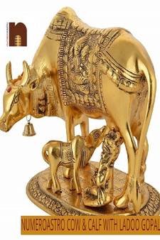 Kamdhenu Cow and Calf with Laddu Gopal | Krishna in White Metal Golden Finish (15 Cms) (1 Pc)