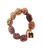  Original 3 Mukhi Rudraksha Beads Bracelet (Stretchable) (1 Pc)
