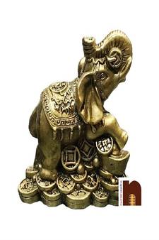  Good Fortune (8 Cms) (1 Pc)