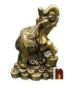  Good Fortune (8 Cms) (1 Pc)