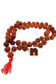5 Mukhi Rudraksha Kantha Mala (55 Big Beads) (18 MM Approx) (1 Pc)