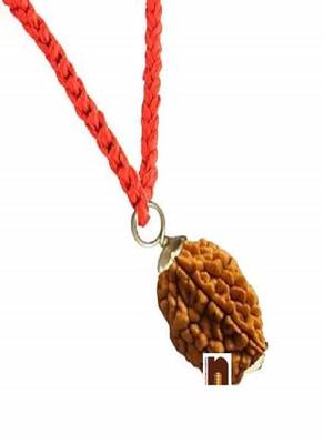 2 Mukhi Rudraksha | Two Faced Rudraksha Pendant With Lab Certificate (1Pc) 1