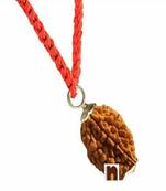2 Mukhi Rudraksha | Two Faced Rudraksha Pendant With Lab Certificate (1Pc)