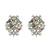 Silver earrings