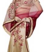 Beige Embroidered Net Saree