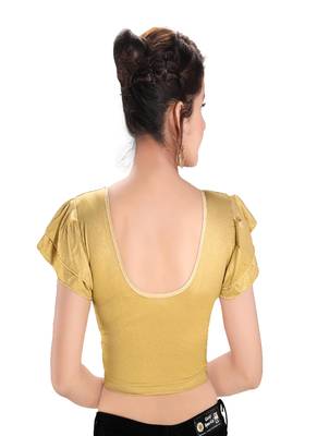 Women's Nylon Blend Non Padded Stretchable Blouse 2
