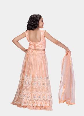 Peach Real Mirror Hand Work Net Lehenga Choli with Stunning Tessel 5
