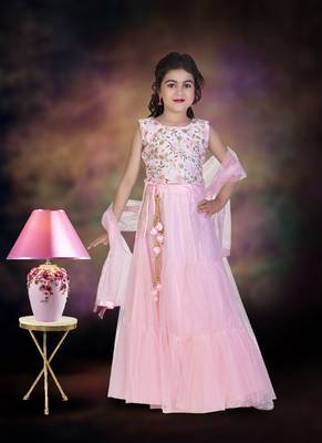 Pink Double Frill Work Plain Net Lehenga Choli with Authentic Tessel 1
