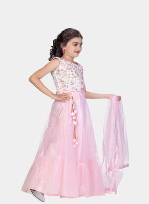 Pink Double Frill Work Plain Net Lehenga Choli with Authentic Tessel 2