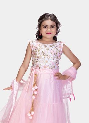 Pink Double Frill Work Plain Net Lehenga Choli with Authentic Tessel 4