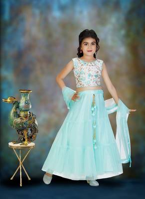 Sky Blue Double Frill Work Plain Net Lehenga Choli with Authentic Tessel 1