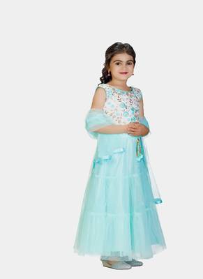 Sky Blue Double Frill Work Plain Net Lehenga Choli with Authentic Tessel 2