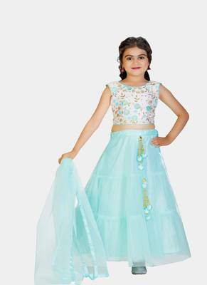 Sky Blue Double Frill Work Plain Net Lehenga Choli with Authentic Tessel 3