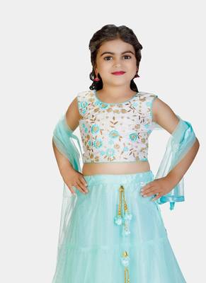 Sky Blue Double Frill Work Plain Net Lehenga Choli with Authentic Tessel 4