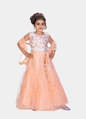 Peach Double Frill Work Plain Net Lehenga Choli with Authentic Tessel 2