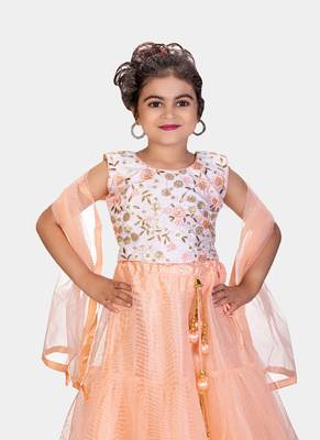 Peach Double Frill Work Plain Net Lehenga Choli with Authentic Tessel 4