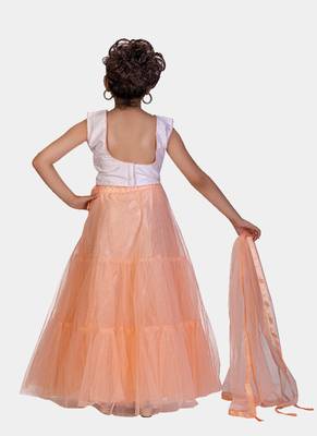 Peach Double Frill Work Plain Net Lehenga Choli with Authentic Tessel 5