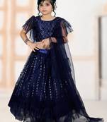 Blue Embroidery Sequence Frill Work Net Lehenga Choli