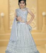 Grey Embroidery Sequence Thread Work Net Lehenga Choli