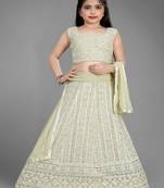 Light Pista Pure Lucknow Chikan Work Georgette Lehenga with Tessel