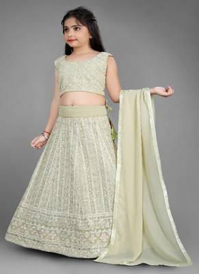 Light Pista Pure Lucknow Chikan Work Georgette Lehenga with Tessel 2