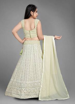 Light Pista Pure Lucknow Chikan Work Georgette Lehenga with Tessel 4