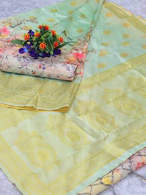 Multicolor Woven Cotton Silk Saree With Blouse 5