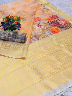 Multicolor Woven Cotton Silk Saree With Blouse 5