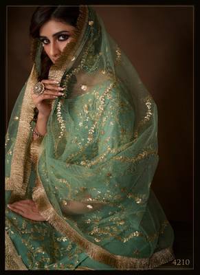 Green Soft Net Salwar Kameez Dupatta Set 2