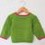 Woonie Full Sleeves Handmade Dog Sweater - Green
