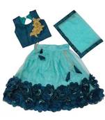 Multicolor embroidered net stitched lehenga