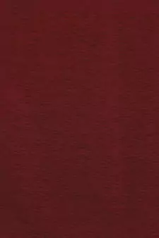 ROSARA HOME Floral Pack of 4 Regular and Sheer Long Door Curtains -9 Feet,Multicolor