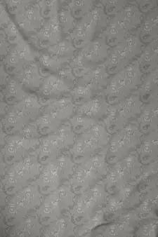ROSARA HOME Jacquard Pack of 4 Regular and Sheer Long Door Curtains -9 Feet,Grey::White