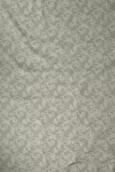 ROSARA HOME Jacquard Pack of 2 Regular Long Door Curtains -9 Feet,Beige