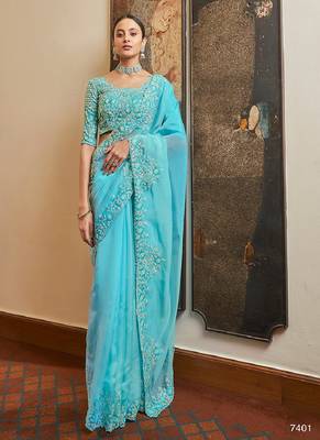 Blue organza Base Saree & blouse & blouse& blouseWith Cut Work and Resham 1