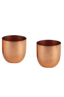Copper Plating Table Top Planter Set of 2