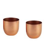 Copper Plating Table Top Planter Set of 2