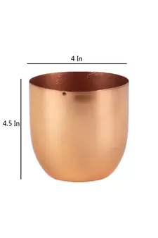 Copper Plating Table Top Planter Set of 2