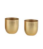 Gold Plating Table Top Planter Set of 2
