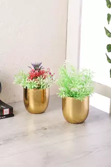 Gold Plating Table Top Planter Set of 2