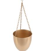 Hanging Capsule Planter Set of 2